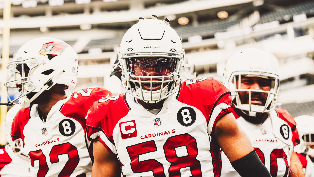 Cardinals' Tackle Leaders In 2020