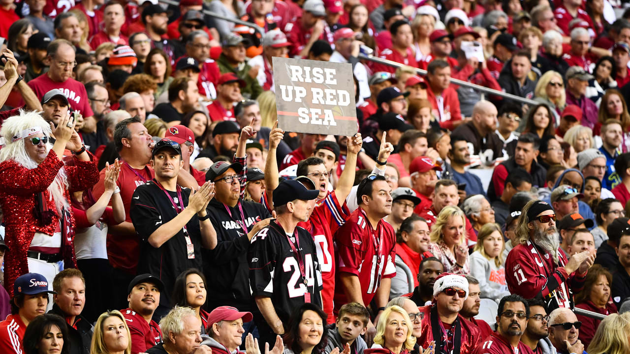 arizona cardinals fans