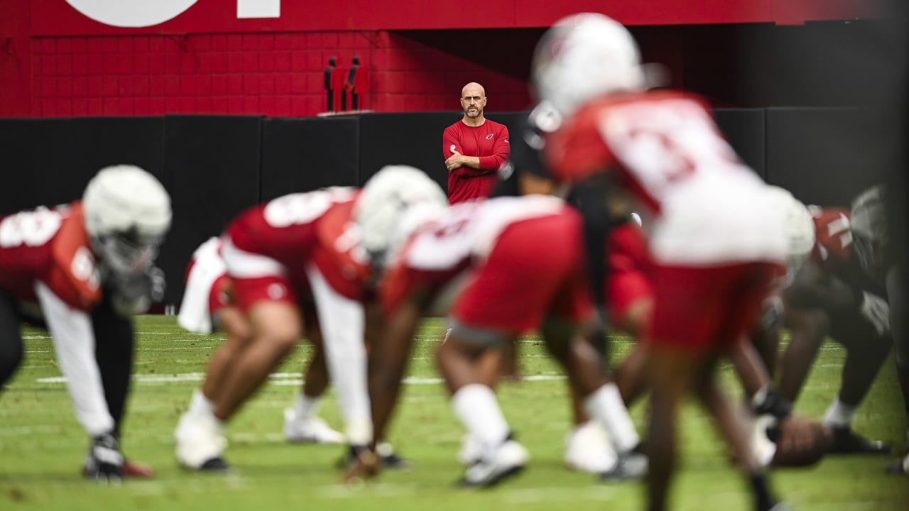 Arizona Cardinals training camp roster preview: DL Eric Banks