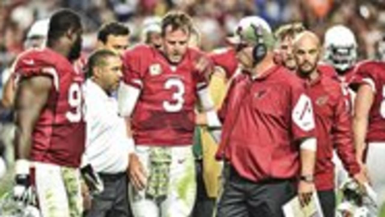 Carson Palmer Injury Overshadows Dramatic Rally