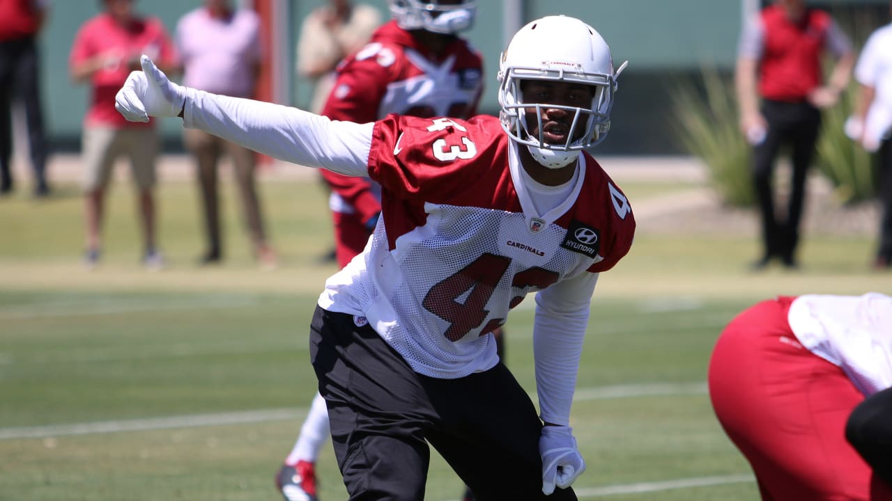 Cardinals LB Haason Reddick feels 'settled in' to new-look defense