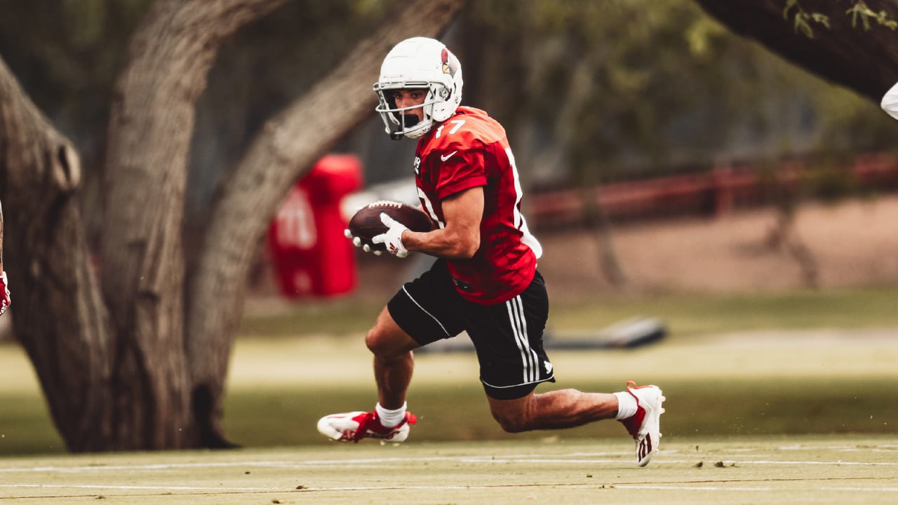 Cardinals' Josh Dobbs hilariously fails to buy his own jersey