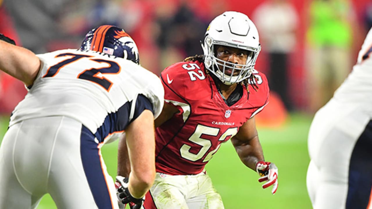 Calais Campbell, Frostee Rucker expect big things from Cardinals D-line