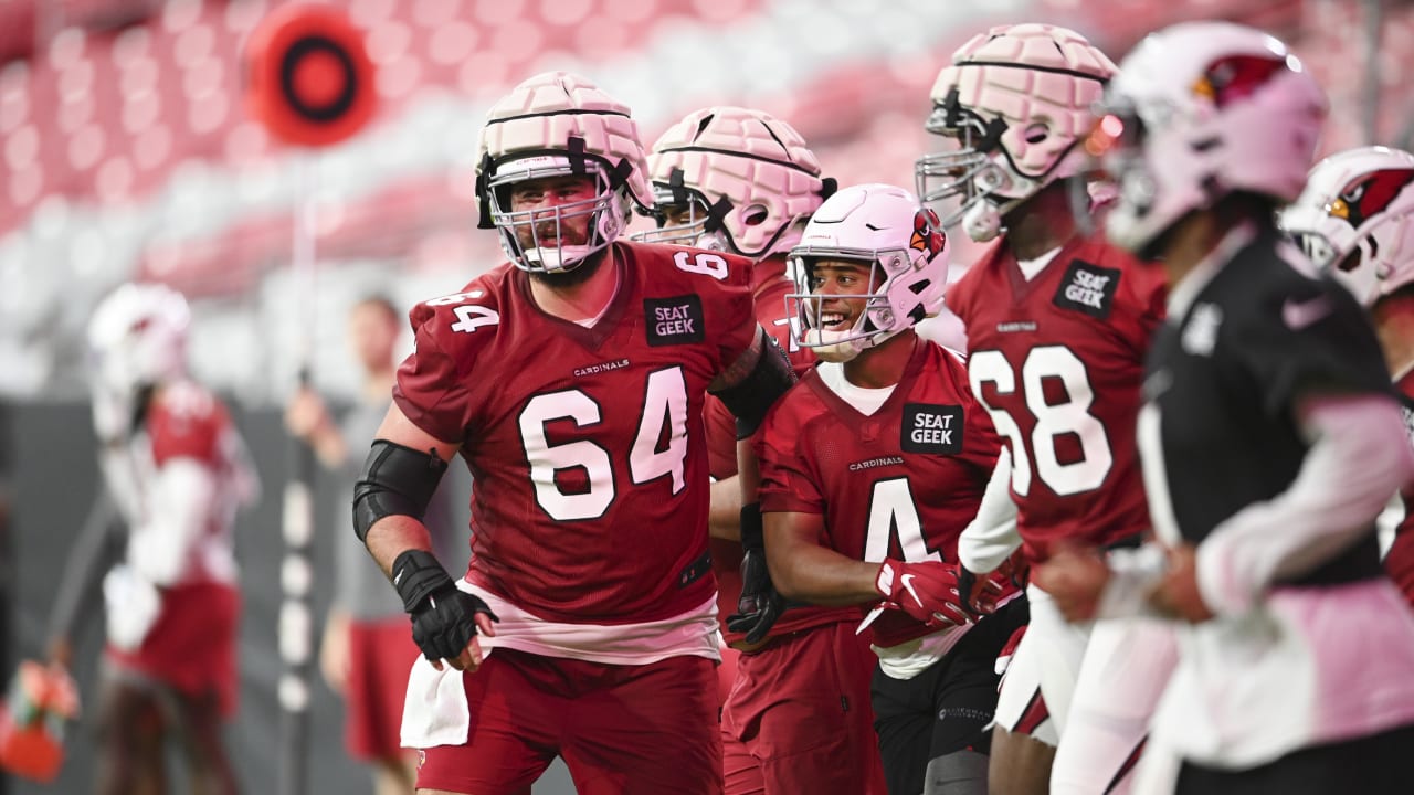 Arizona Cardinals 16, Atlanta Falcons 13: Football in July! - AZ