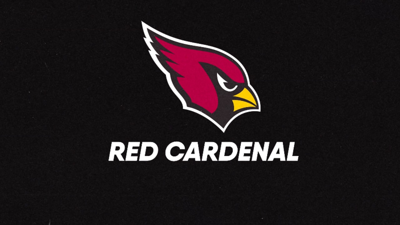 Un castillo alucinante (1996) - Carteles — The Movie Database (TMDB), image size:1280x720