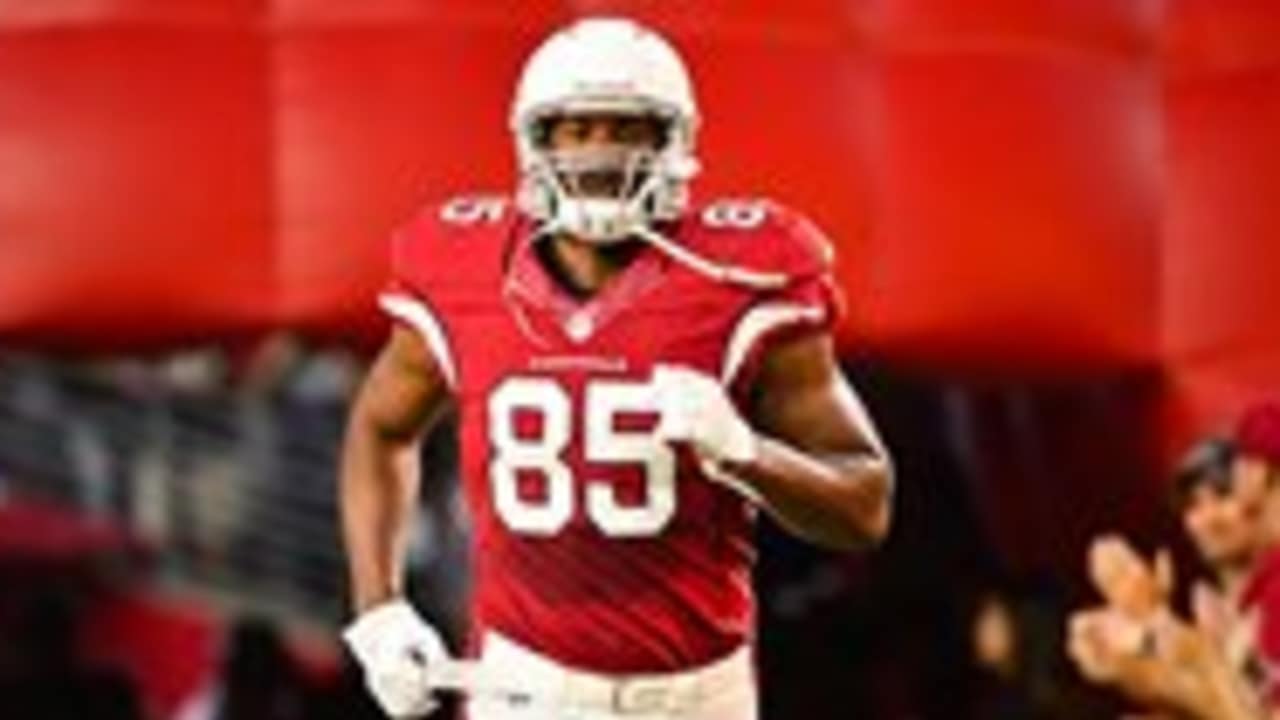 Tight end Darren Fells opening eyes at Arizona Cardinals training camp