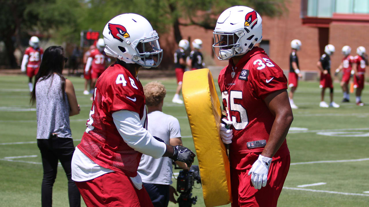 Sherman Badie, Arizona Cardinals HB, NFL and PFF stats