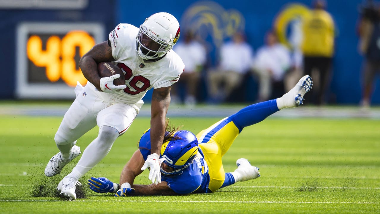 Damien Williams Comes Off The Sidelines To Help Cardinals