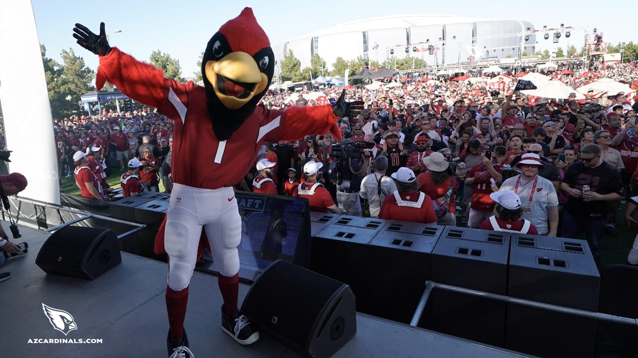 Arizona Cardinals fans attend NFL draft pick watch party