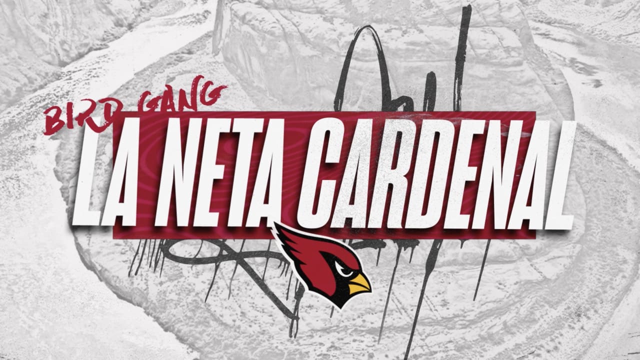 Bird gang  Arizona cardinals wallpaper, Cardinals football, Cardinals  wallpaper