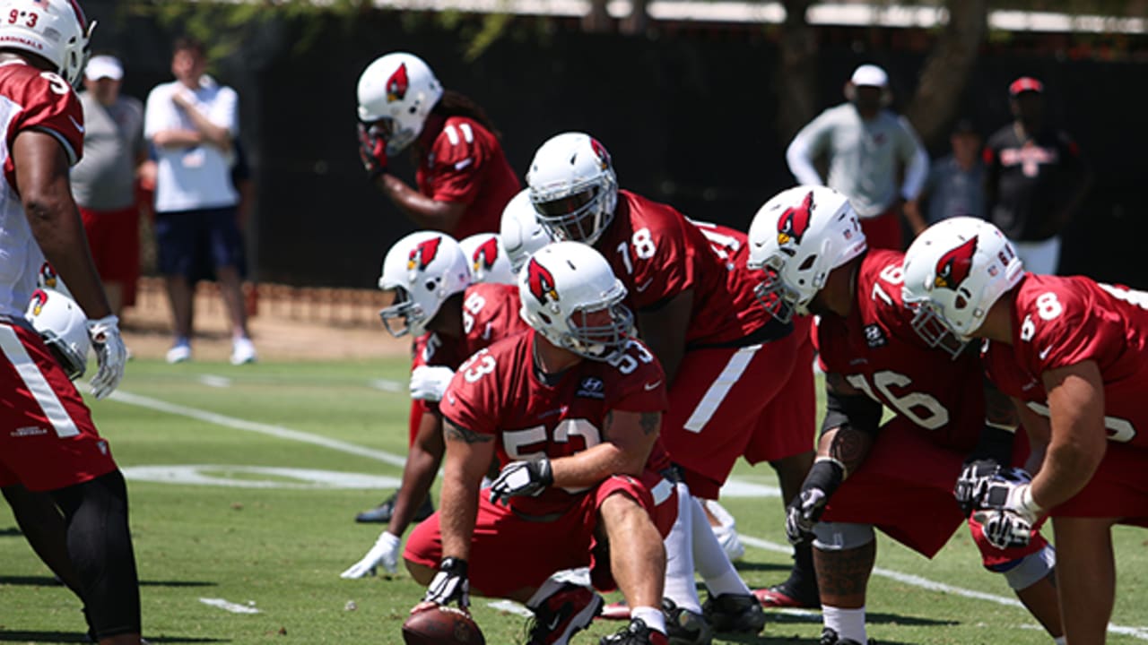 Arizona Cardinals training camp profile: Tackle Givens Price