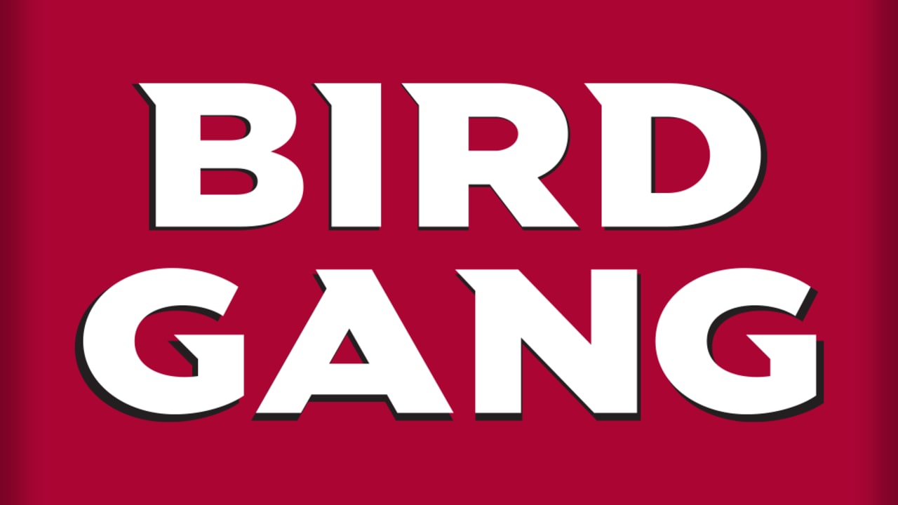 Arizona Cardinals Bird Gang T Shirt