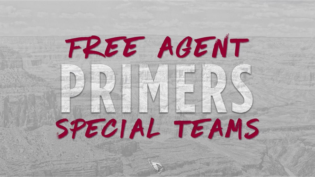 2019 Free Agent Primers - ST