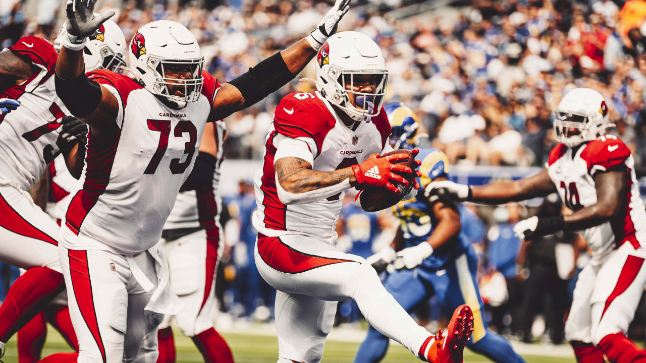 Arizona Cardinals remain unbeaten after ugly win over San Francisco 49ers -  Revenge of the Birds
