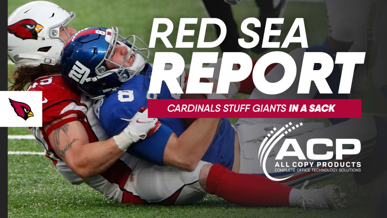 arizona cardinals stuff