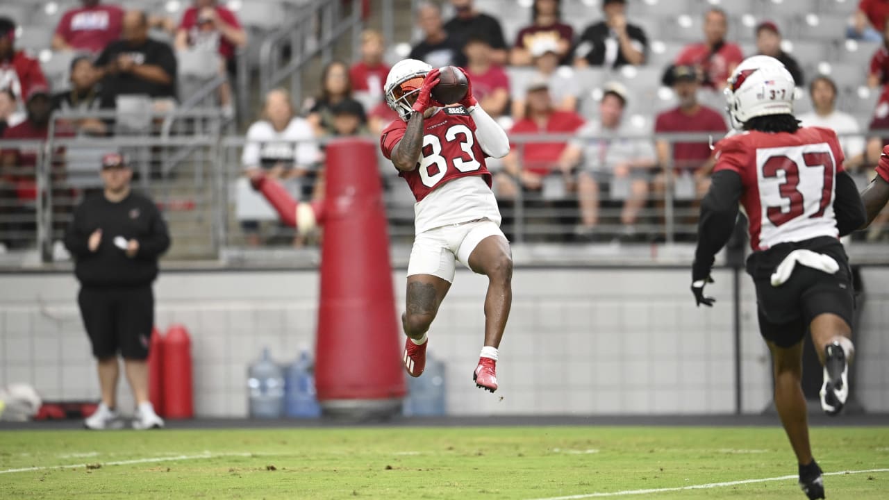 Arizona Cardinals: Ignoring Greg Dortch would be an atrocity