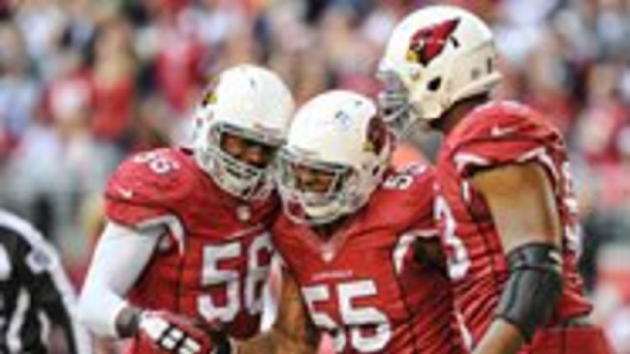 Linebacker Karlos Dansby giving the Miami Dolphins a lot of tackles and a  lot of leadership