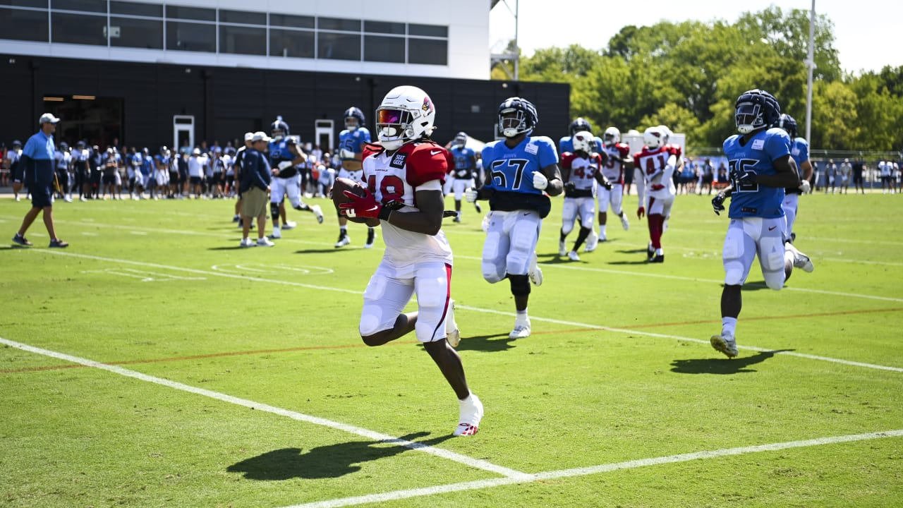 Arizona Cardinals safety Tae Daley (48) in action as the Arizona