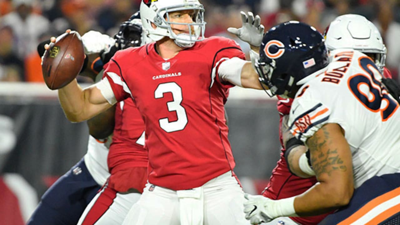 Cardinals preview: Carson Palmer looks to lead resurgence