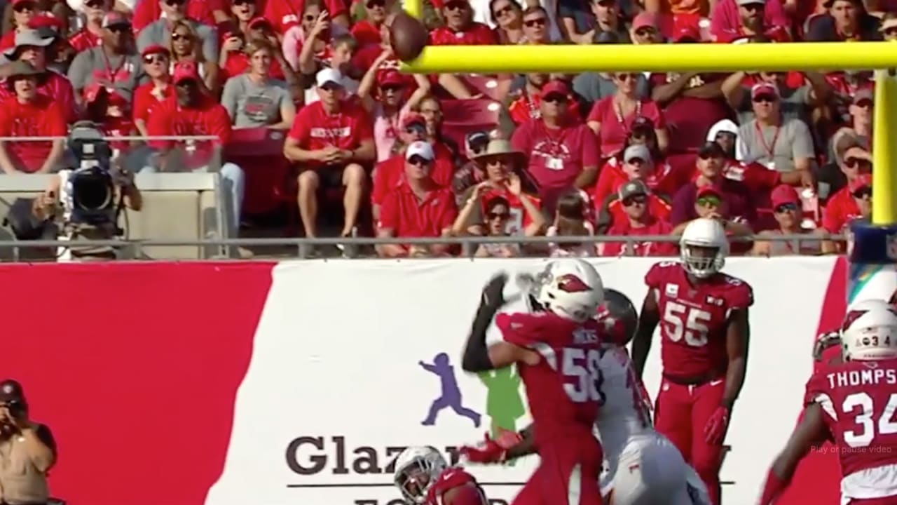 Arizona Cardinals' Andy Lee completes fake punt pass vs. Bucs