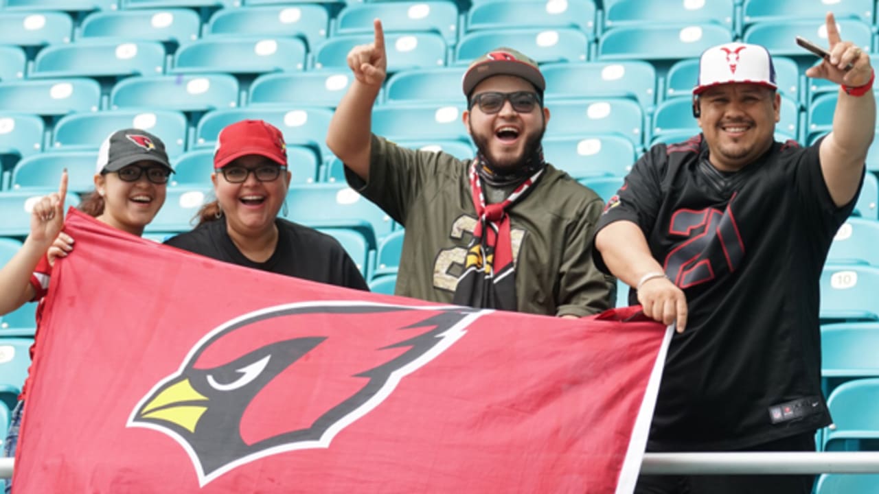 Arizona Cardinals GameDay #BirdGang #AZLadyBirds 