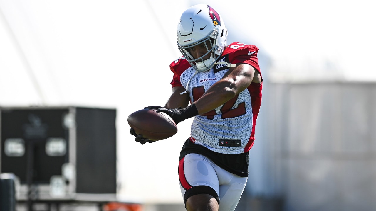 Cardinals Depth Chart for Bengals Game - Revenge of the Birds