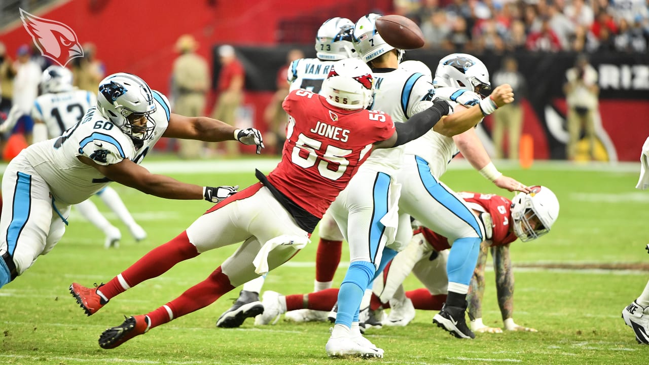 Cardinals Forced Fumble Leaders 2019