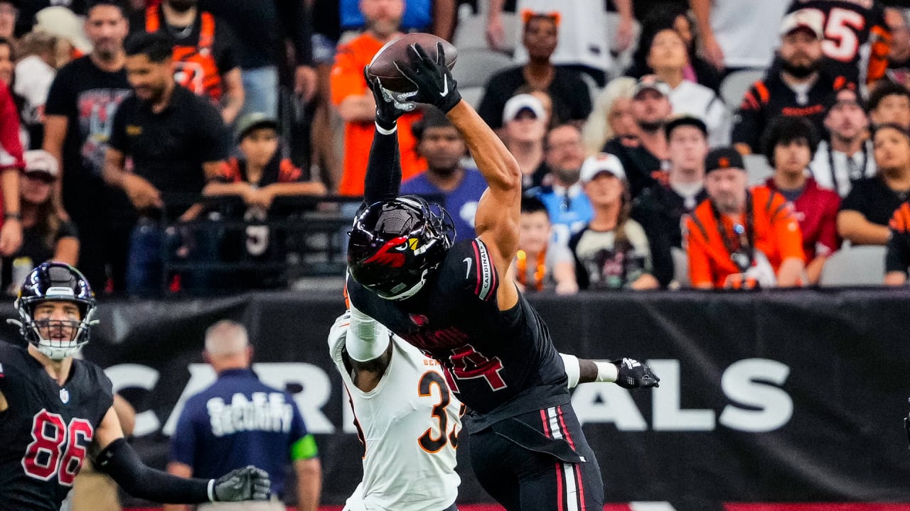 Cincinnati Bengals vs. Tampa Bay Buccaneers highlights