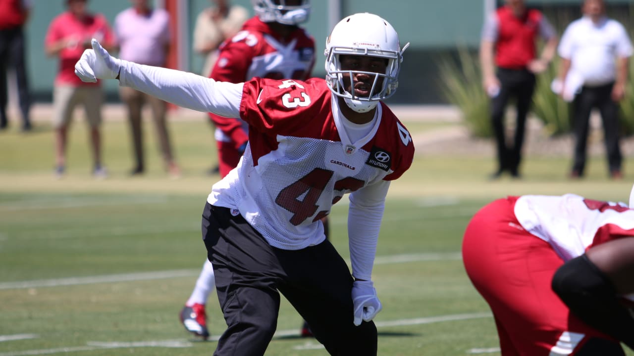 Deone Bucannon, Haason Reddick Ready For Nickel Linebacker Challenge