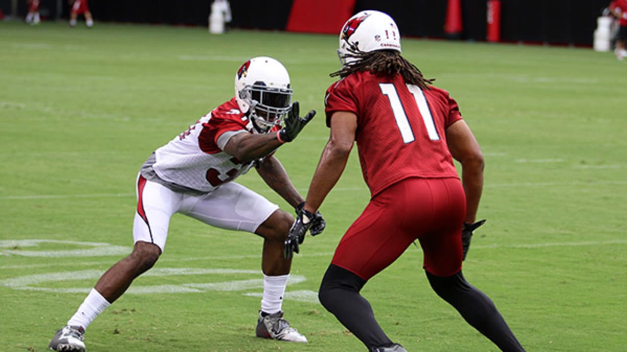 NFL injury report, Week 3: Larry Fitzgerald does not practice, Rob Housler  returns for Arzizona Cardinals - Revenge of the Birds