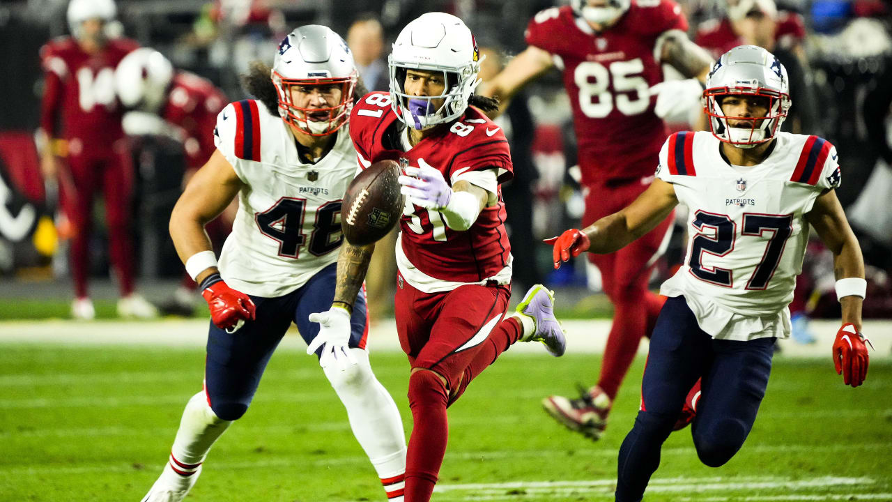 Patriots vs Cardinals Fantasy Football Worksheet, Week 14