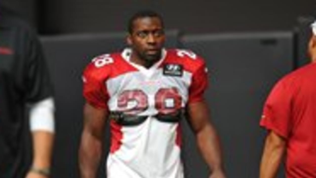 Rashard Mendenhall hints at retirement in cryptic blog post