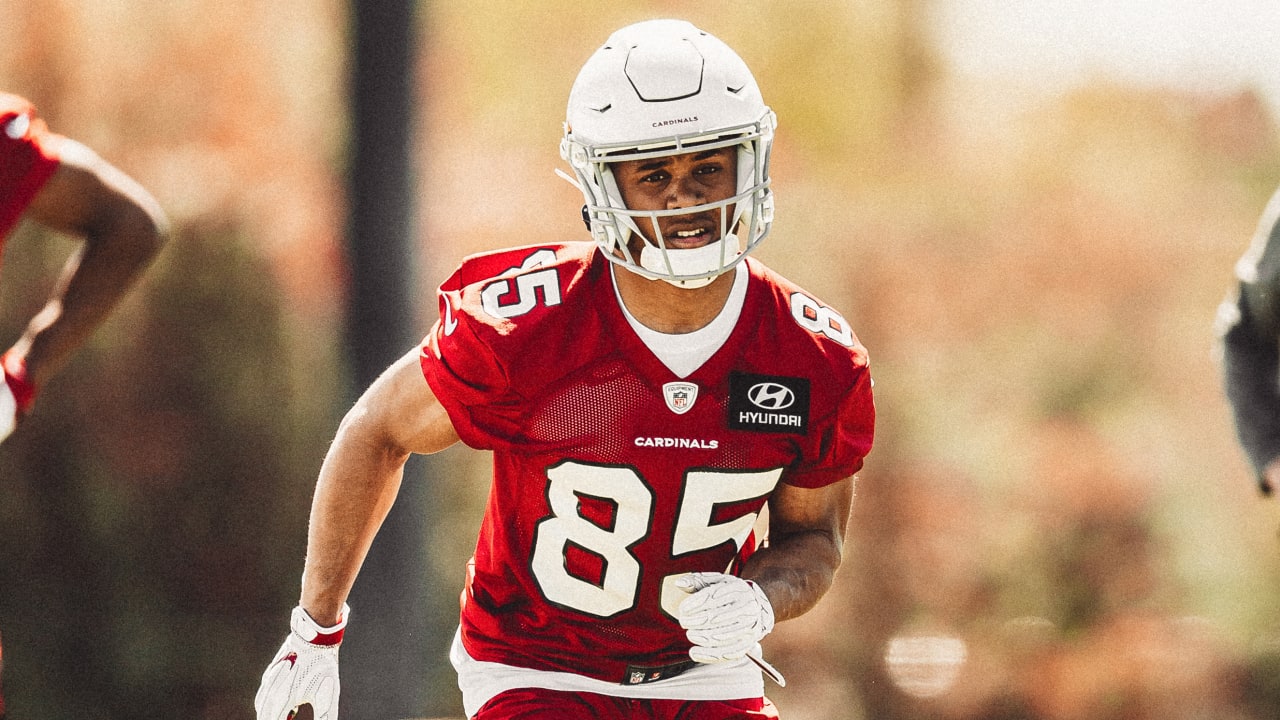 Rondale Moore: Stats, Injury News & Fantasy Projections