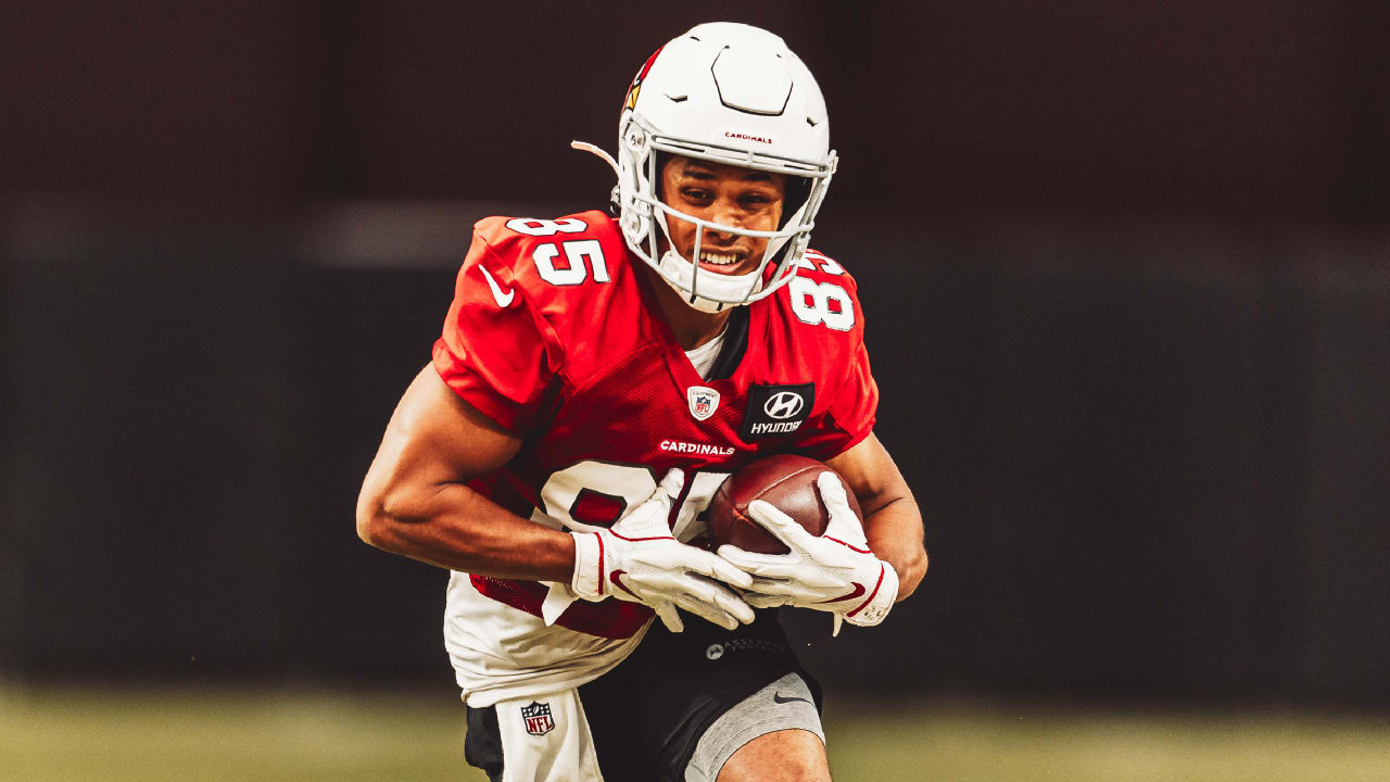 rondale moore cardinals