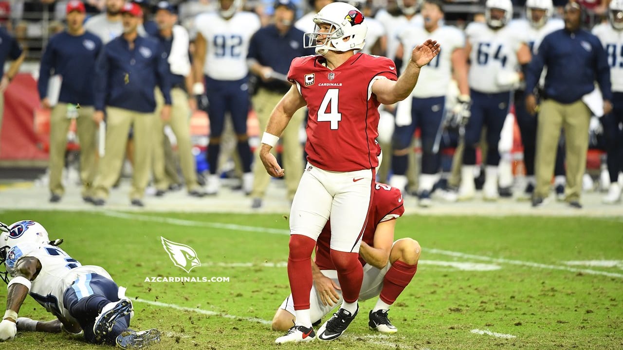 Cardinals 2017 Scoring Leaders