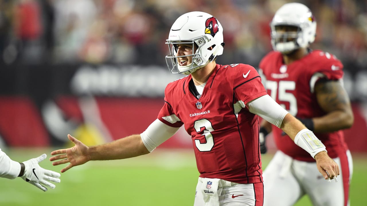 Josh Rosen: Why He Failed in the NFL and Why That Failure Should