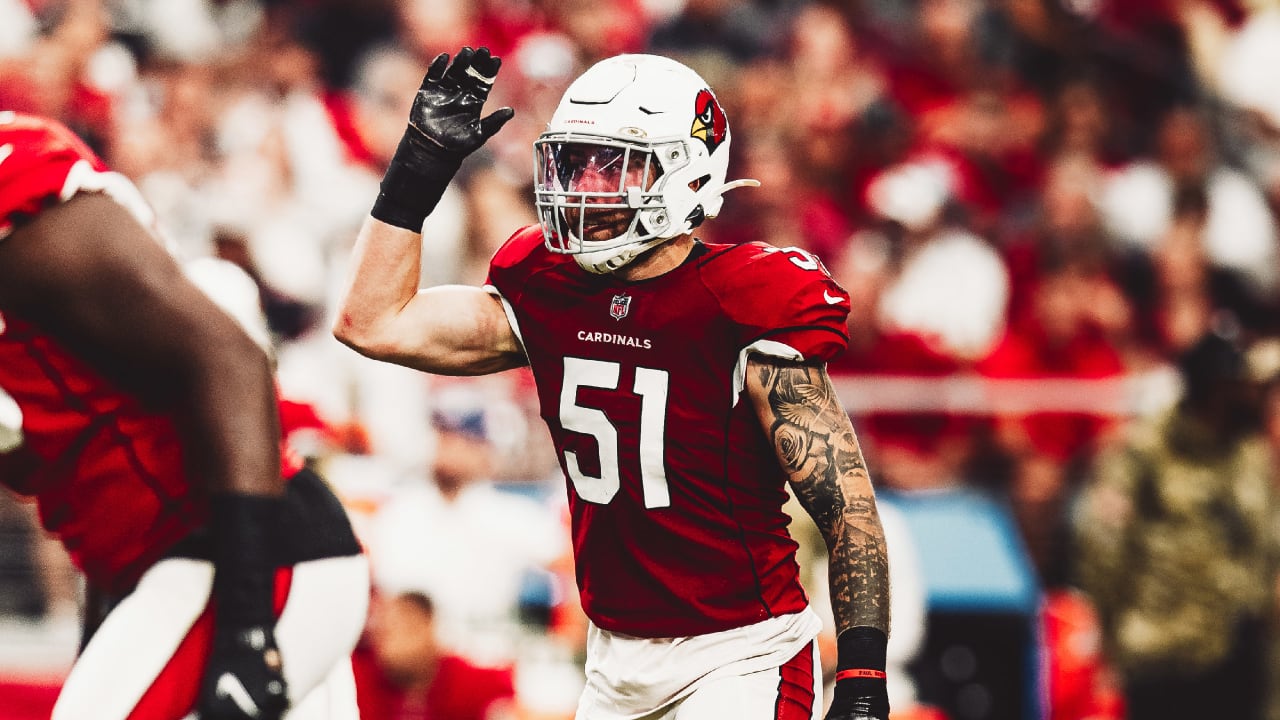 Cardinals activate Jay from DL