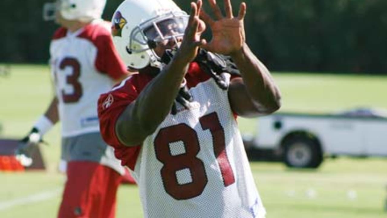 Anquan Boldin faces Arizona Cardinals