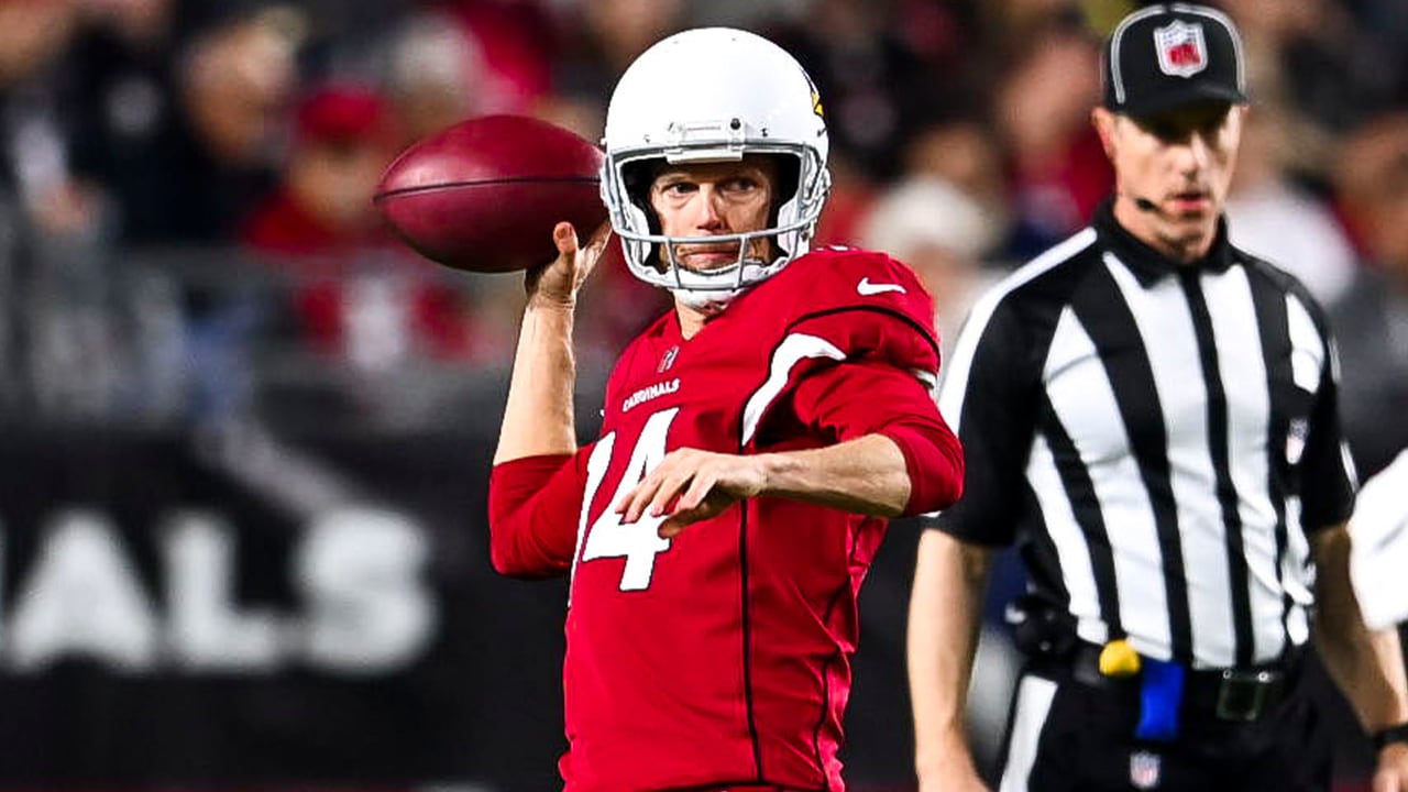 Arizona Cardinals' Andy Lee completes fake punt pass vs. Bucs