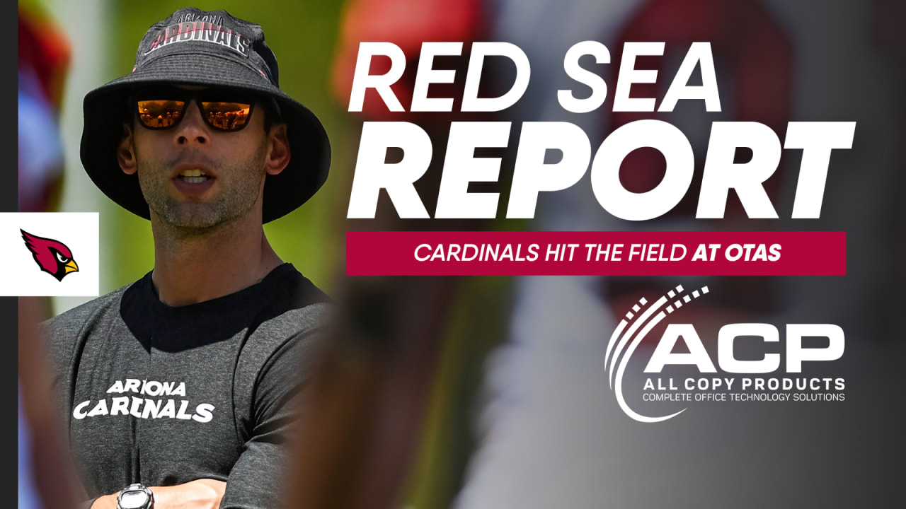 Red Sea Report (podcast) - Arizona Cardinals