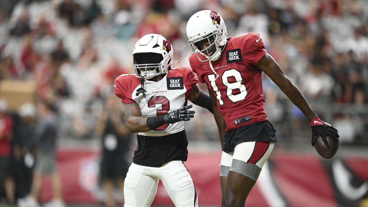 NFL Arizona Cardinals Football Team Training Camp Editorial Stock Image -  Image of blocking, helmet: 32643519