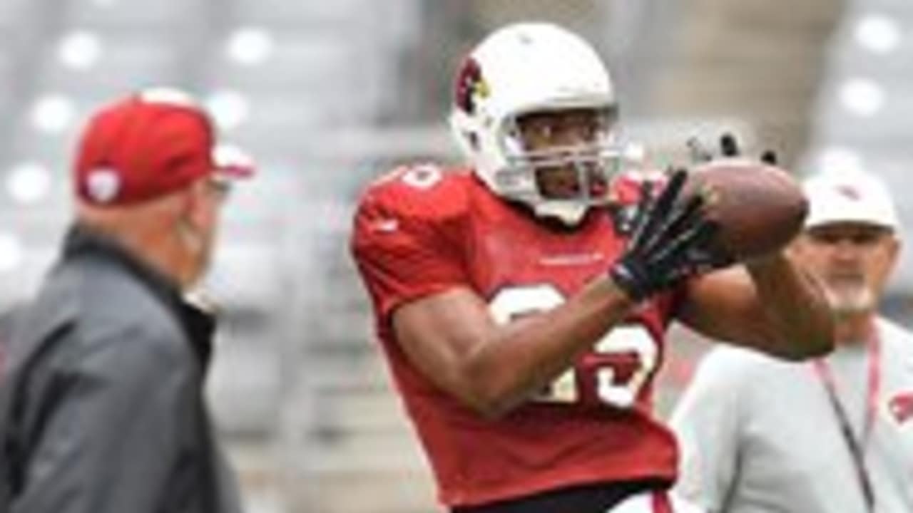 Tight end Darren Fells opening eyes at Arizona Cardinals training camp