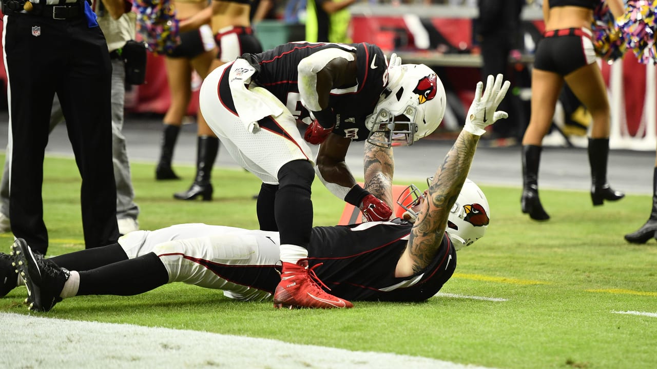 Arizona Cardinals mascot Big Red does his part during the Salute