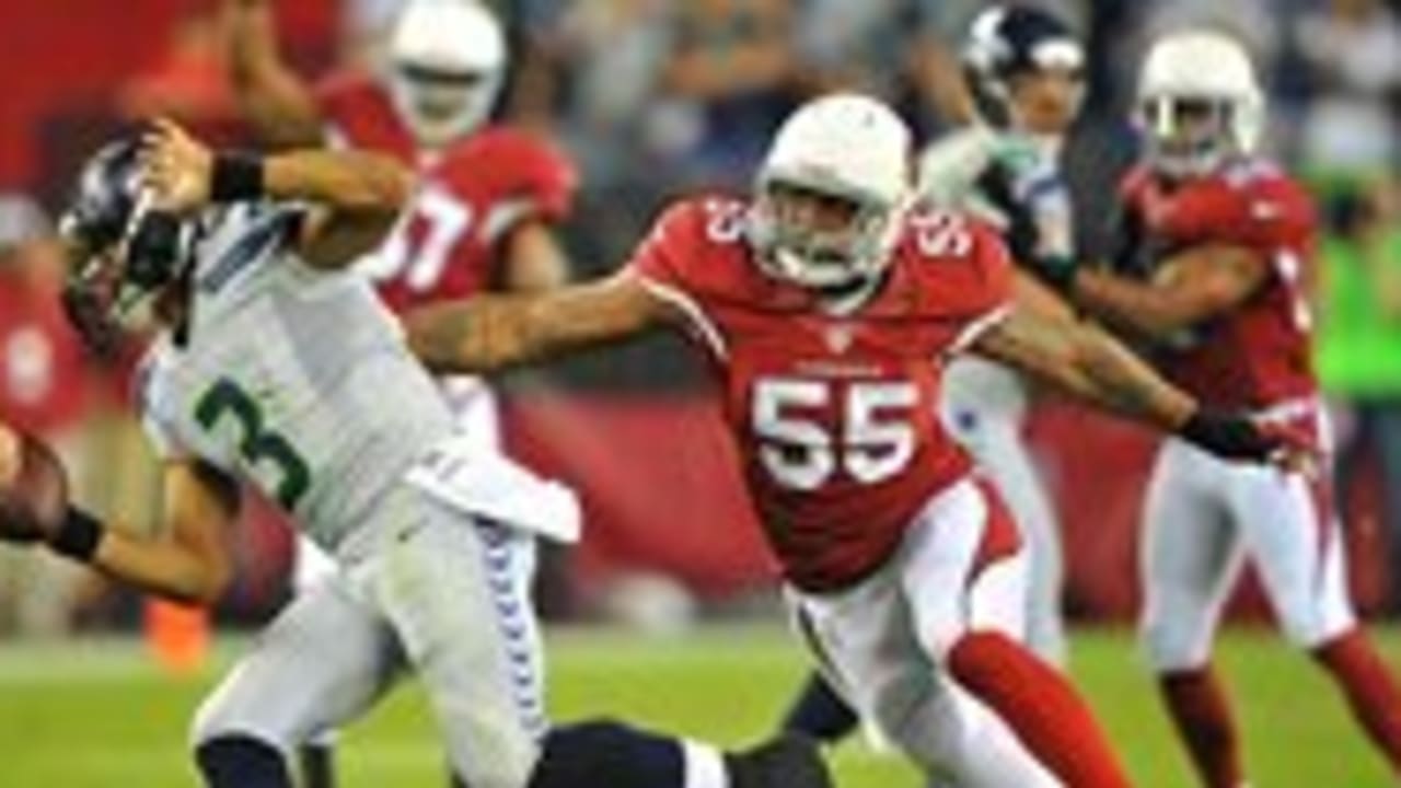 Arizona Cardinals announce 'Protect the Nest' packages, when they go on sale  - Revenge of the Birds