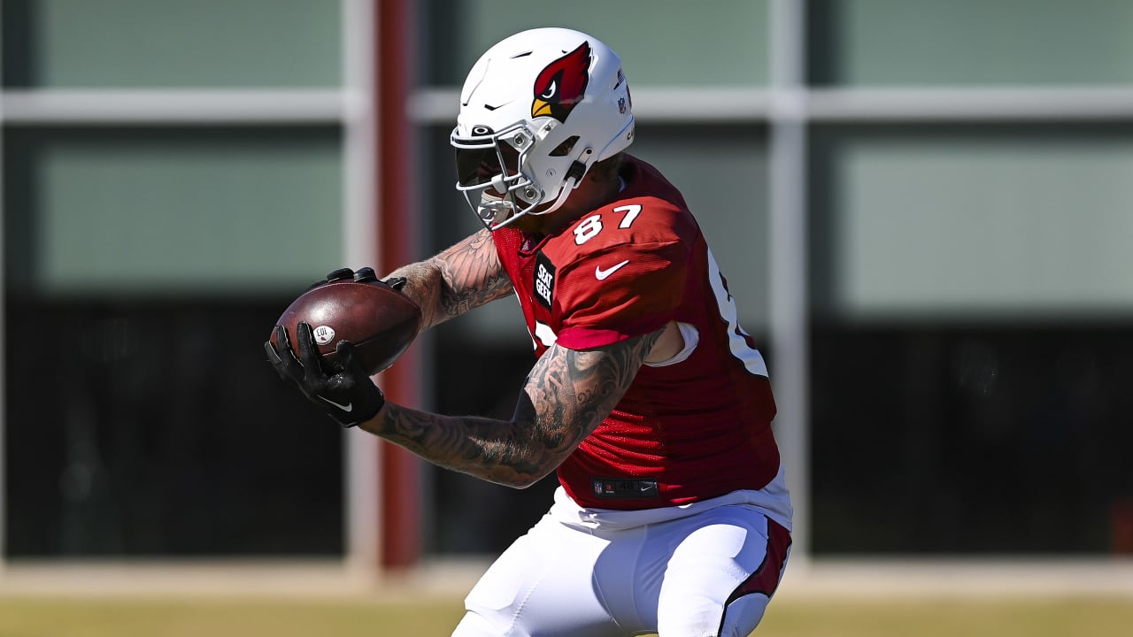 Arizona Cardinals tight end Maxx Williams (87) against the Minnesota  Vikings during the second half of an NFL football game, Sunday, Sept. 19,  2021, in Glendale, Ariz. (AP Photo/Ross D. Franklin Stock