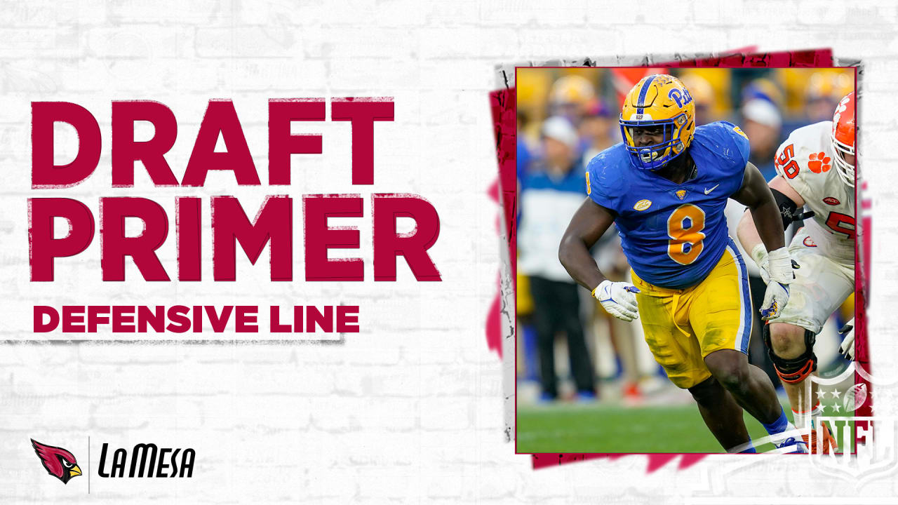 Primer: 2019 NFL Draft