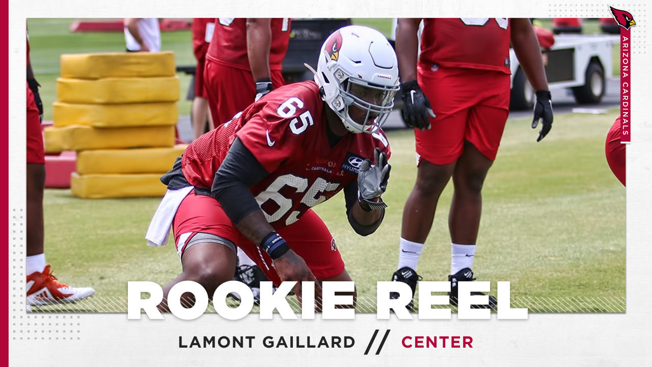 Cardinals release Lamont Gaillard - NBC Sports