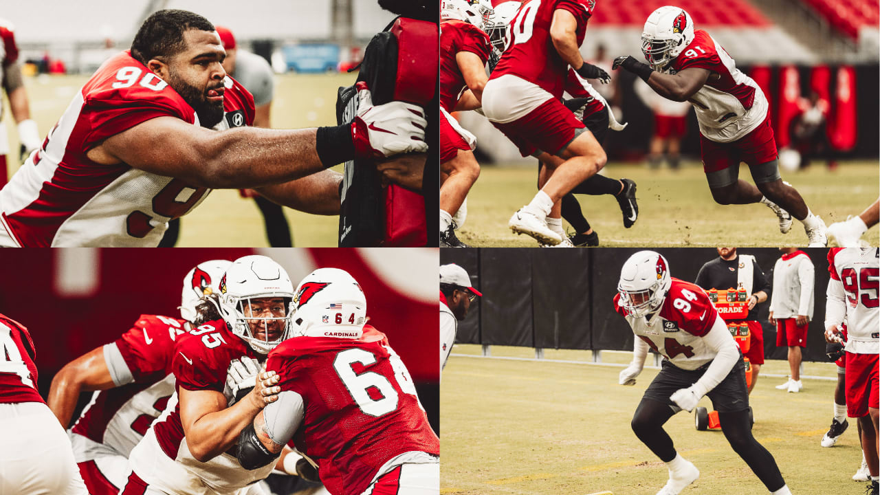 Arizona Cardinals defensive tackle Leki Fotu (95) looks up at a