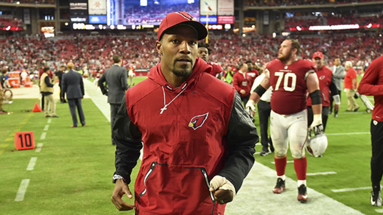 Carson Palmer: Cardinals 'system might not be built' for David Johnson