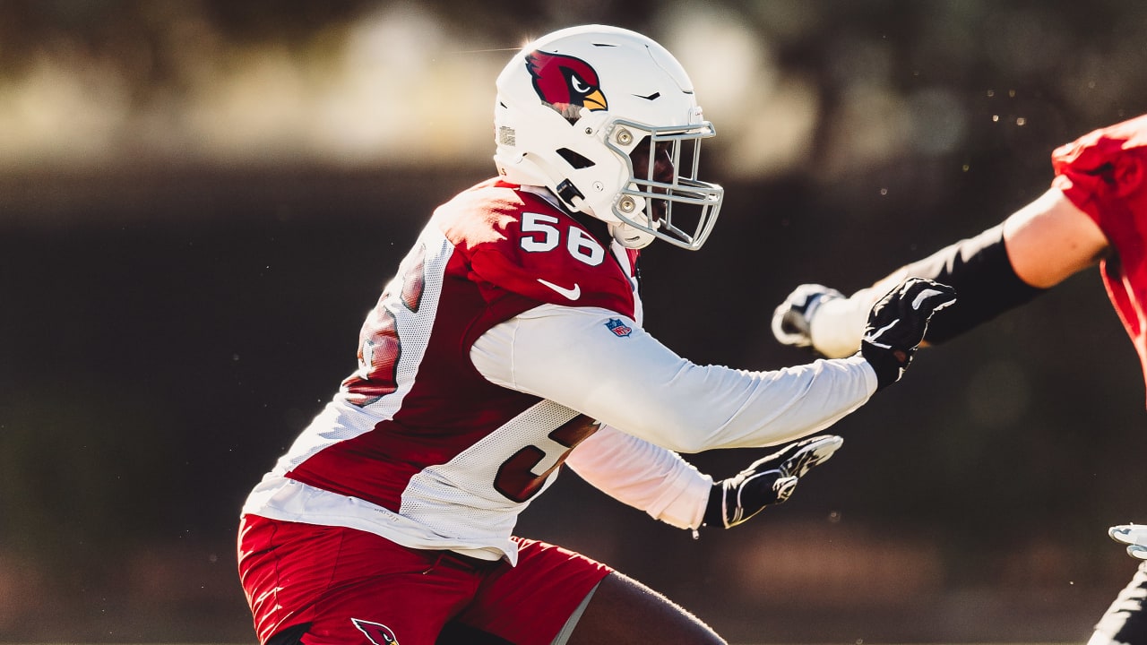 Arizona Cardinals re-sign LBs Dennis Gardeck, Kylie Fitts to one